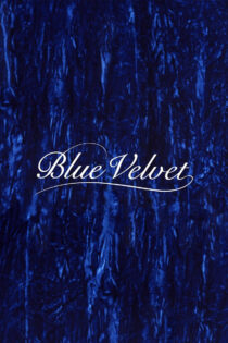 دانلود فیلم Blue Velvet 1986 مخمل آبی